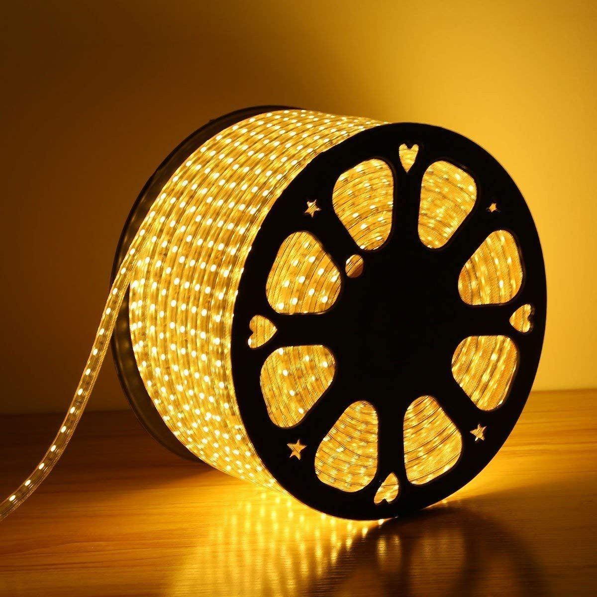 Electright LED Rope Light